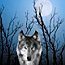 Wolf Night - book cover artwork by Duncan Long